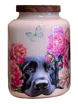 Dieren urn L
