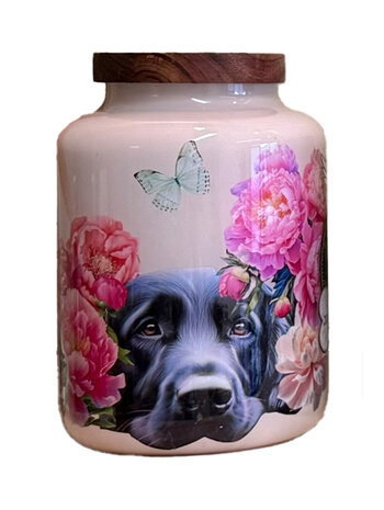 Dieren urn M