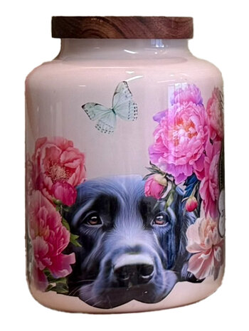 Dieren urn L