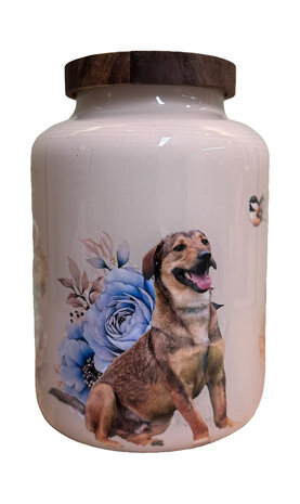Dieren urn M